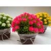 Chậu hoa - Chậu hoa tú cầu thắt nơ - Chậu hoa giả để bàn, Decor trang trí nhà cửa