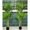 Cây giả - Cây dừa giả -  gốc bằng gỗ , 3 thân , trang trí phòng khách, decor trang trí nhà hàng, quán cà phê cực đẹp