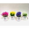 Chậu hoa - Chậu hoa oải hương có quai cao cấp - Chậu hoa giả để bàn, Decor trang trí cực đẹp