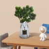 Cây Giả - Cành Tùng giả - Cành Thông giả - Làm cây bonsai, Decor trang trí tiểu cảnh