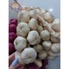 DÂY HÀNH, TỎI, ỚT,HOA QUẢ TREO TRANG TRÍ - GIỐNG NHƯ THẬT 99%