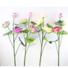 Cành sen giả - Cành sen xốp cao cấp decor trang trí rất đẹp và sang trọng