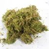 50gr Rêu rừng (Rêu khô) dùng trang trí chậu hoa, tiểu cảnh - Giúp giữ ẩm cho hoa lan