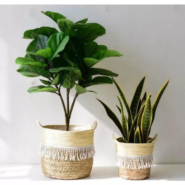 Cây giả - Cây bàng giả Singapore - Cây giả cao cấp giống 99% - Decor Trang trí nhà cửa