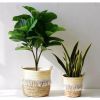 Cây giả - Cây bàng giả Singapore - Cây giả cao cấp giống 99% - Decor Trang trí nhà cửa