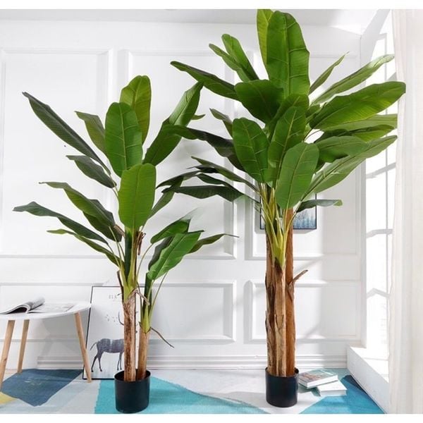 Cây giả - Cây chuối giả 3 thân, cao 1m7 - Cây chuối giả decor, Trang trí nhà cửa