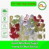 Cành Nhũ Kim Tuyến Trang Trí Oản Tài Lộc , Tháp Bia , Tháp Bánh