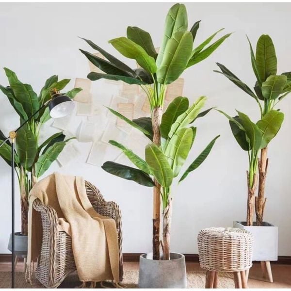 Cây giả - Cây chuối giả 3 thân, cao 1m7 - Cây chuối giả decor, Trang trí nhà cửa