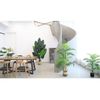 Cây giả - Cây dừa giả -  gốc bằng gỗ , 3 thân , trang trí phòng khách, decor trang trí nhà hàng, quán cà phê cực đẹp