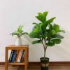 Cây giả - Cây bàng giả Singapore - Cây giả cao cấp giống 99% - Decor Trang trí nhà cửa