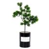Cây Giả - Cành Tùng giả - Cành Thông giả - Làm cây bonsai, Decor trang trí tiểu cảnh