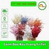 Cành Đào Râu Trang Trí Tết dài 1Met - Trang Trí Giỏ Quà Tết