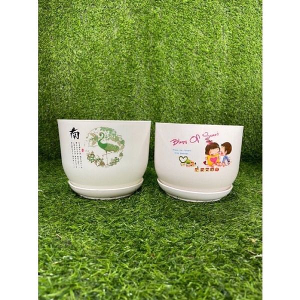Chậu trồng cây - Chậu trông hoa, chậu nhựa giả sứ - Chậu cây để bàn