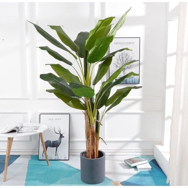 Cây giả - Cây chuối giả 3 thân, cao 1m7 - Cây chuối giả decor, Trang trí nhà cửa