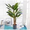 Cây giả - Cây chuối giả 3 thân, cao 1m7 - Cây chuối giả decor, Trang trí nhà cửa