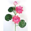 Cành sen giả - Cành sen xốp cao cấp decor trang trí rất đẹp và sang trọng