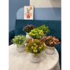 Chậu hoa giả - Chậu hoa cúc nhí để bàn - Chậu hoa nhựa trang trí - Decor trang trí nhà cửa