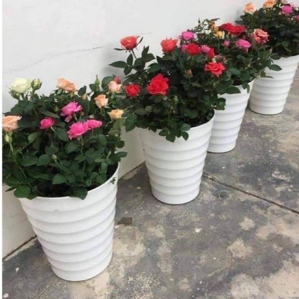(Loại dày) Chậu trồng cây - Chậu trồng cây tròn - Chậu trồng cây nhựa - Chậu trồng hoa - Trang trí nhà cửa