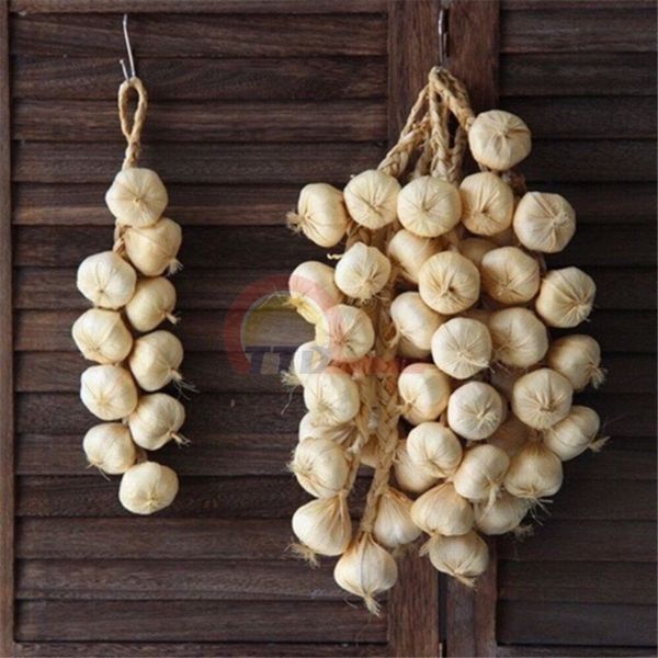 DÂY HÀNH, TỎI, ỚT,HOA QUẢ TREO TRANG TRÍ - GIỐNG NHƯ THẬT 99%