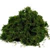 Rêu sợi nhân tạo - Rêu xanh phủ gốc cây trang trí cây cảnh, bể cá - Decor cực đẹp
