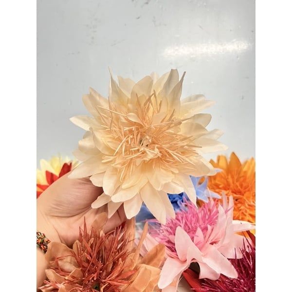 Đầu bông hoa Cúc Râu trang trí tết , Decor Loại Đẹp