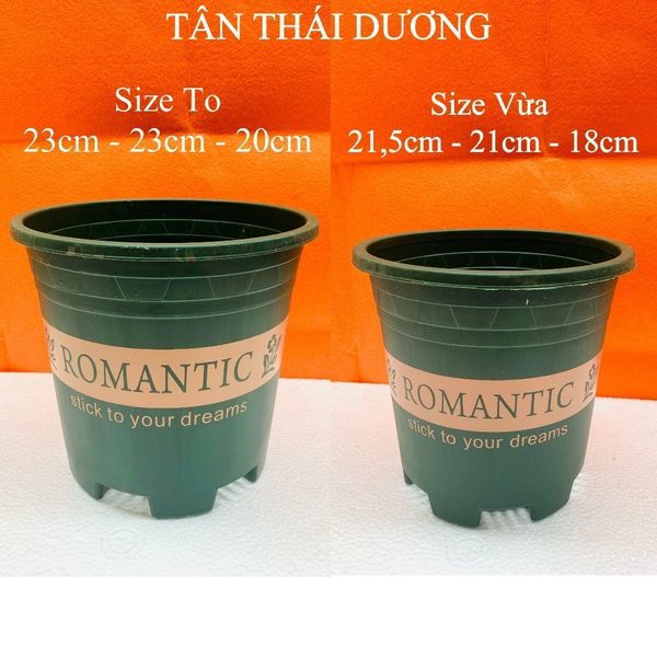 (Loại dày) Chậu trồng cây - Chậu trồng cây nhựa in chữ Romantic - Chậu trồng hoa - Trang trí nhà cửa
