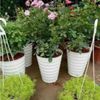 (Loại dày) Chậu trồng cây - Chậu trồng cây tròn - Chậu trồng cây nhựa - Chậu trồng hoa - Trang trí nhà cửa