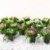 Rêu sợi nhân tạo - Rêu xanh phủ gốc cây trang trí cây cảnh, bể cá - Decor cực đẹp