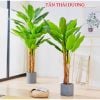 Cây giả - Cây chuối giả 3 thân, cao 1m7 - Cây chuối giả decor, Trang trí nhà cửa