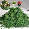 Rêu sợi nhân tạo - Rêu xanh phủ gốc cây trang trí cây cảnh, bể cá - Decor cực đẹp