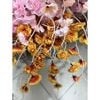 Cành Đào Râu Trang Trí Tết dài 1Met - Trang Trí Giỏ Quà Tết
