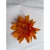 Đầu bông hoa Cúc Râu trang trí tết , Decor Loại Đẹp