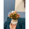 Chậu hoa giả - Chậu hoa cúc nhí để bàn - Chậu hoa nhựa trang trí - Decor trang trí nhà cửa