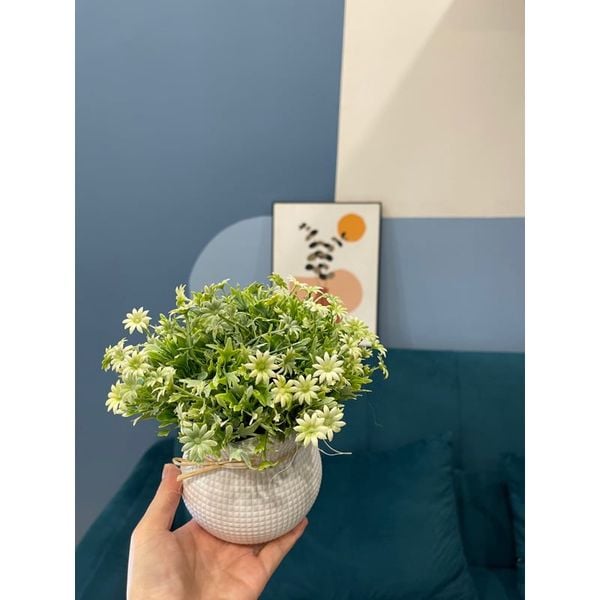 Chậu hoa giả - Chậu hoa cúc nhí để bàn - Chậu hoa nhựa trang trí - Decor trang trí nhà cửa