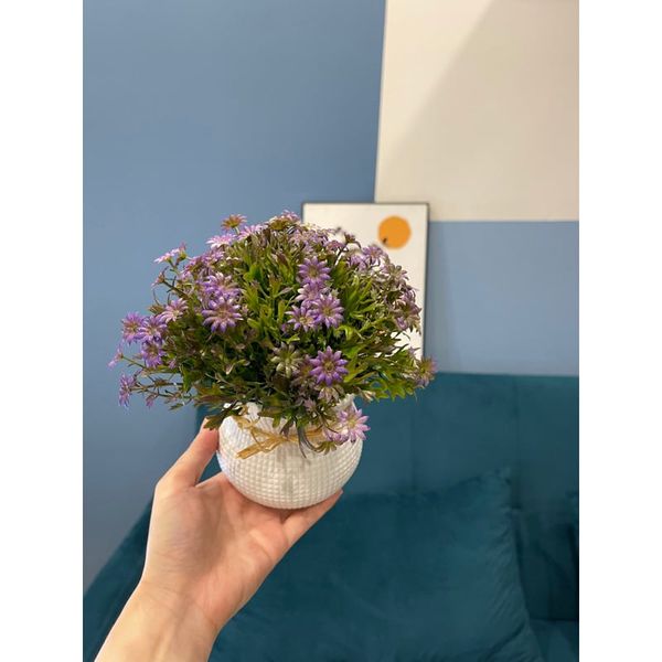 Chậu hoa giả - Chậu hoa cúc nhí để bàn - Chậu hoa nhựa trang trí - Decor trang trí nhà cửa
