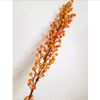 Cành đào đông 12 nhánh - Decor trang trí nhà cửa - Trang trí Tết cực đẹp