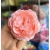 Hoa giả - Đầu bông hoa Mao Lương bằng lụa - Đầu bông hoa giả trang trí giỏ quà Tết, Trang trí tháp oản, tháp bia