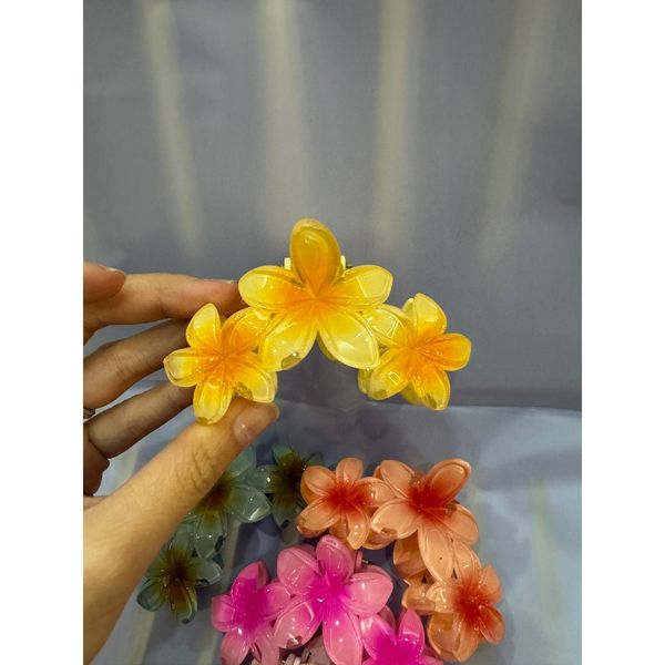 Cặp tóc hoa sứ-cặp tóc hoa mai nhiều màu sắc ,kẹp tóc đi biển siêu xinh