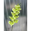 Cành hoa lan hồ điệp cao su 7 bông cao cấp - decor trang trí nhà cửa cực đẹp và sang trọng