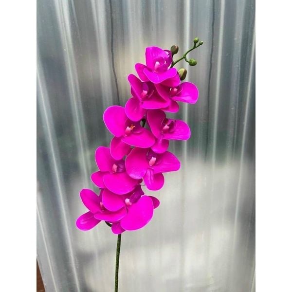 Cành hoa lan hồ điệp cao su 7 bông cao cấp - decor trang trí nhà cửa cực đẹp và sang trọng