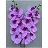 Cành hoa lan hồ điệp cao su 7 bông cao cấp - decor trang trí nhà cửa cực đẹp và sang trọng