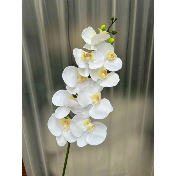 Cành hoa lan hồ điệp cao su 7 bông cao cấp - decor trang trí nhà cửa cực đẹp và sang trọng