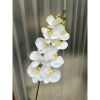 Cành hoa lan hồ điệp cao su 7 bông cao cấp - decor trang trí nhà cửa cực đẹp và sang trọng