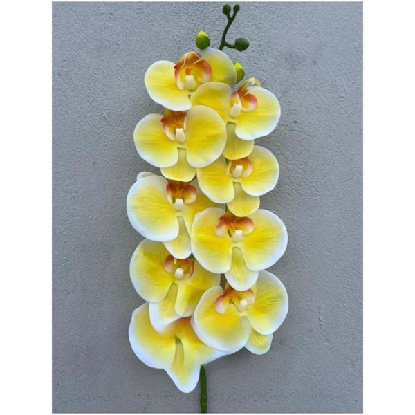 Cành hoa lan hồ điệp cao su 7 bông cao cấp - decor trang trí nhà cửa cực đẹp và sang trọng