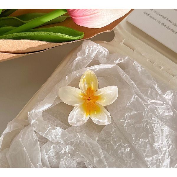 Cặp tóc hoa sứ ,kẹp tóc hoa mai nhiều màu sắc ,kẹp tóc đi biển siêu xinh