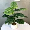 Cây giả - Cây trầu bà cao cấp 12 lá - Decor, Trang trí nhà cửa