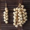 Dây hành tỏi ớt, hoa quả decor trang trí cực đẹp