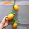 Dây hành tỏi ớt, hoa quả decor trang trí cực đẹp