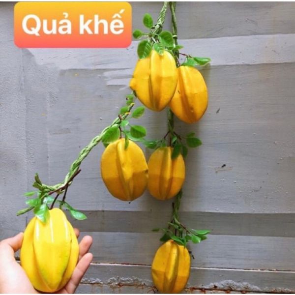Dây hành tỏi ớt, hoa quả decor trang trí cực đẹp