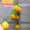 Dây hành tỏi ớt, hoa quả decor trang trí cực đẹp